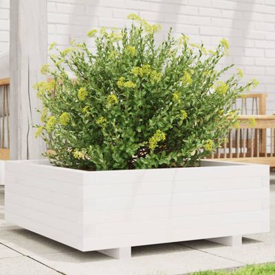 vidaXL Záhradný kvetináč biely 70x70x26,5 cm masívna borovica