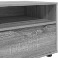 vidaXL TV skrinka 100 x 48 x 43 cm Sivý Sonoma Kompozitné drevo