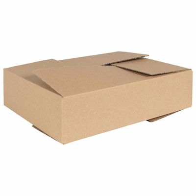 vidaXL Skladací box s úložiskom 50 pcs Prírodná 40 x 30 x 10 cm Kartón