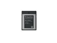 Pamäťová karta flash - 256 GB - CFexpress typu B - čierna