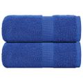 vidaXL Utierky na umývanie FROGN 2 ks modré 30x30 cm 360 g/m²