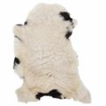 vidaXL Ovčia koža viacfarebná (60-70)x(90-100) cm