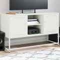 vidaXL TV skrinka biela 100,5x39x60,5 cm oceľ