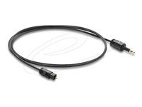 Delock - Digitálny audio kábel (optický) - mini TOSLINK s pínmi (male) do TOSLINK so zdierkami (female) - 1 m - optické vlákno - čierna