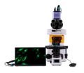 Fluorescenčný digitálny mikroskop MAGUS Lum D450L LCD