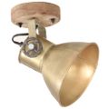 vidaXL Industriálne nástenné / stropné lampy 2 ks mosadzné 20x25 cm E27