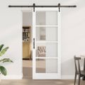 vidaXL Posuvné dvere 83 x 211 cm Masívne borovicové drevo a sklo