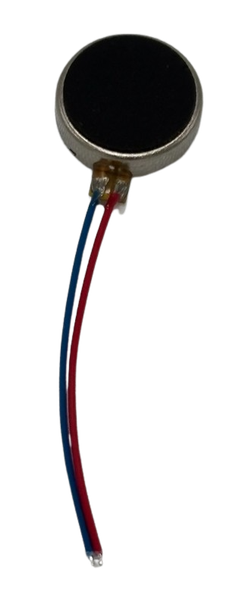 30533