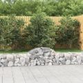 vidaXL Oblúkový gabionový kôš 9 ks 200x30x40/60 cm pozinkované železo