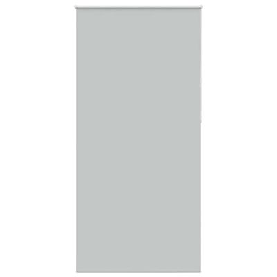 vidaXL Roleta Zatemnenie svetlo šedá 110x210 cm Šírka látky 105,7 cm