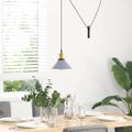 VidaXL Závesná lampa výškovo nastaviteľná E27 lesk šedá Ø 22 cm kov