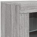 vidaXL Komoda s LED svetlami sivá sonoma 60,5x37x67 cm