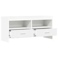 vidaXL TV skrinka 100 x 33 x 47 cm Biela Kompozitné drevo