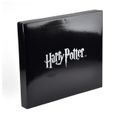 Šachy Harry Potter - The Final Challenge