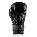 Boxerské rukavice DBX BUSHIDO Warrior BLACK 14 oz
