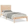 vidaXL Extra dlhá posteľ bez matraca 100x220 cm masívne drevo