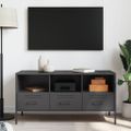 vidaXL TV skrinka čierna 100,5x39x50,5 cm oceľ