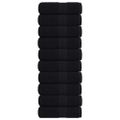 vidaXL Utierky na umývanie FROGN 10 ks čierne 30x30 cm 360 g/m²