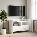 vidaXL TV skrinka 71,5 x 33 x 47 cm Biela Kompozitné drevo
