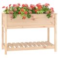 vidaXL Kvetináč s policou 111,5x54x81 cm masívna borovica