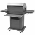 vidaXL Plynový barbecue gril Strieborná Ocotný s kovovou hadicou
