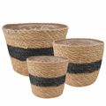 vidaXL 3 ks Prírodná a čierna Ø26 x 19 cm 100% Morská tráva