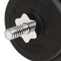 vidaXL Súprava činiek barbell a dumbbell 30 kg