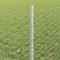 vidaXL Hexagonálny plot s stĺpom 25 x 0,6 m Pozinkovaná oceľ Sieťovina