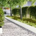 vidaXL Obrubník trávnika 10 ks 100 x 0,05 x 30 cm Biela