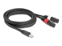 Adaptérový kábel RJ45 samec na 2 x XLR 3 kolíky