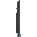 BENQ RP7505 BLACK, LED Panel 75"