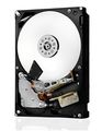 Western Digital Ultrastar® HDD 4TB (HUS726T4TALA6L4) DC HC310 3.5in 26.1MM 256MB 7200RPM SATA 512N SE (GOLD WD 4TB)