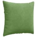 vidaXL Vankúše na pohovku 2 pcs Svetlo zelená 45 x 45 cm