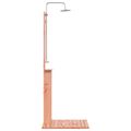 vidaXL Externá sprcha 206 cm Prírodná