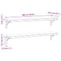 vidaXL Nástenné police 2 ks 100x23,5cm, strieborné, nehrdzavejúca oceľ