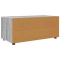 vidaXL TV skrinka 100 x 48 x 43 cm Sivý Sonoma Kompozitné drevo