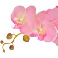 vidaXL Umelá rastlina, orchidea s kvetináčom 75 cm, ružová