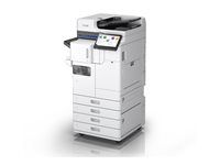 C11CL48401