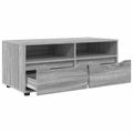 vidaXL TV skrinka 100 x 48 x 43 cm Sivý Sonoma Kompozitné drevo