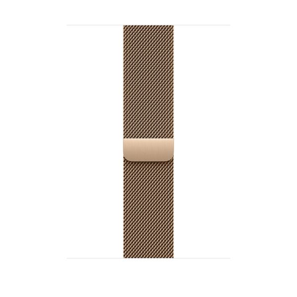 Watch Acc/46/Gold Milanese Loop - S/M