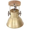 vidaXL Industriálne nástenné / stropné lampy 2 ks mosadzné 20x25 cm E27
