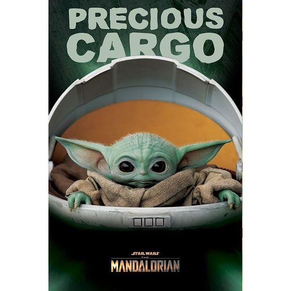 Plagát Star Wars: Mandalorian - Precious Cargo