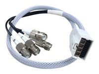 Cisco - Kabel antény - RP-TNC do RF konektor DART - koaxiál - pro Aironet 2802E, 2802E (Config), 2802I, 2802I (Config), 3802E, 3802I, 3802I (Config), 3802P