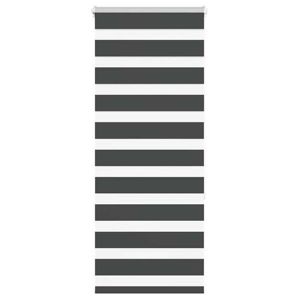 vidaXL Zebra roleta čierna 60x150 cm šírka látky 55,9 cm polyester