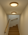 LED stropní 3CCT svítidlo TR-76S - 24W 2500lm ø30x2,5cm Trixline