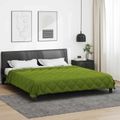 vidaXL Prikrývka na celý rok Zelená 200 x 200 cm Mikrovlákno