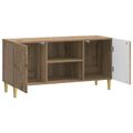vidaXL TV skrinka 102 x 34,5 x 50 cm Dub artisan Kompozitné drevo