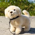Plyšový pes zlatý retriever s vodítkom 25 cm ECO-FRIENDLY