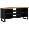 vidaXL TV skrinka 100x33x46 cm masívny mangovník a spracované drevo