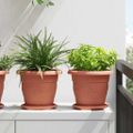 vidaXL Kulatý kvetináč 24 ks Tehlovo červená Ø 22 x 18 cm Plast